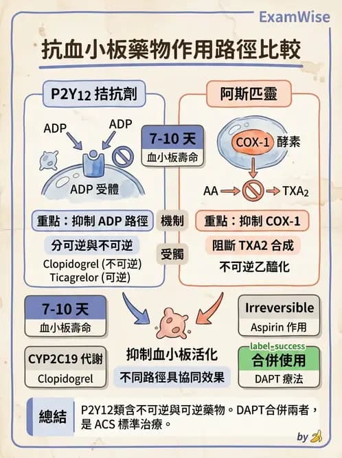 醫檢師 - 血栓性疾病與抗凝治療監測 - AI 圖文解析預覽