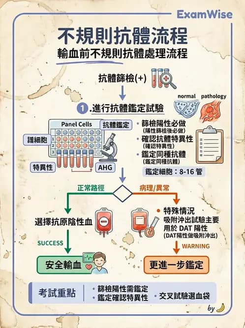 醫檢師 - 血液成分製備與輸血檢查 - AI 圖文解析預覽