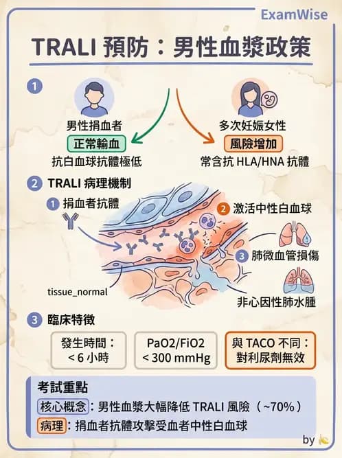 醫檢師 - 輸血反應與血庫品管 - AI 圖文解析預覽