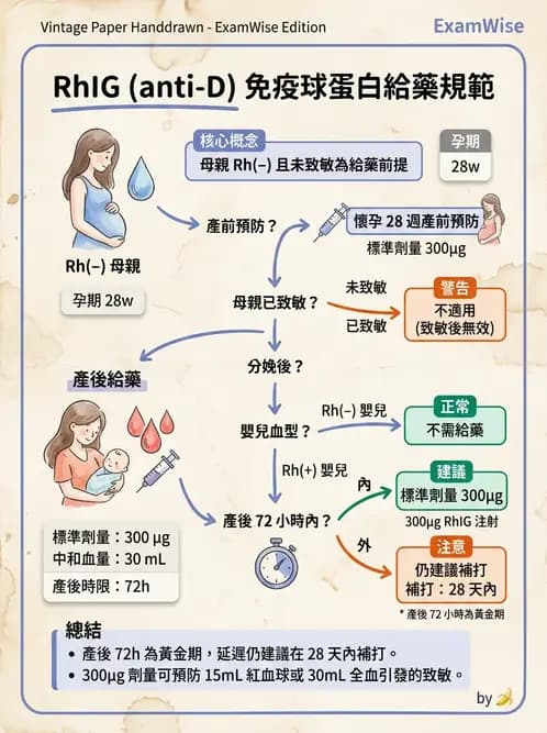 醫檢師 - 輸血反應與血庫品管 - AI 圖文解析預覽