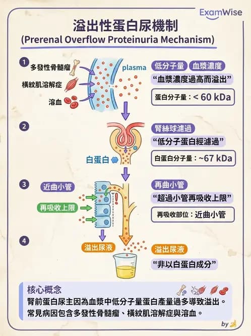 醫檢師 - 尿液化學檢驗 - AI 圖文解析預覽