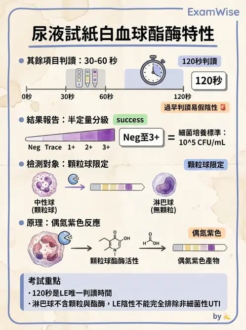 醫檢師 - 尿液化學檢驗 - AI 圖文解析預覽