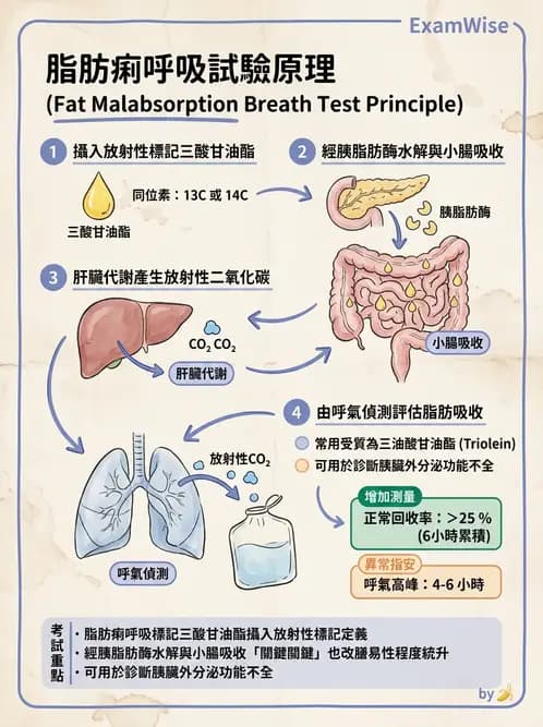 醫檢師 - 糞便常規檢查 - AI 圖文解析預覽