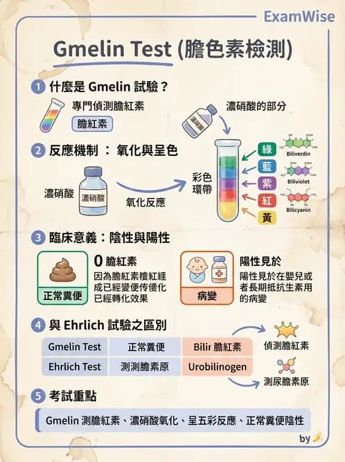 醫檢師 - 糞便常規檢查 - AI 圖文解析預覽