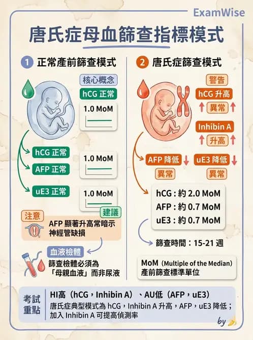 醫檢師 - 懷孕試驗 - AI 圖文解析預覽
