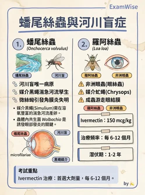 醫檢師 - 寄生蟲檢查-蠕蟲類 - AI 圖文解析預覽