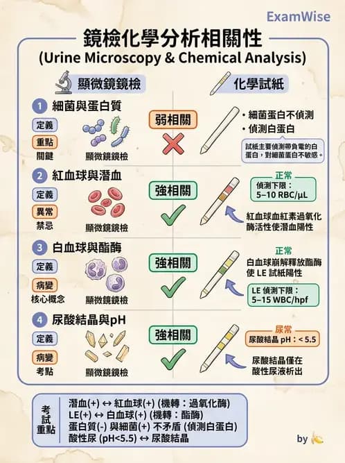 醫檢師 - 鏡檢綜合性試題 - AI 圖文解析預覽