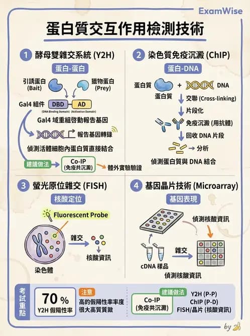 醫檢師 - 基礎分子生物學 - AI 圖文解析預覽