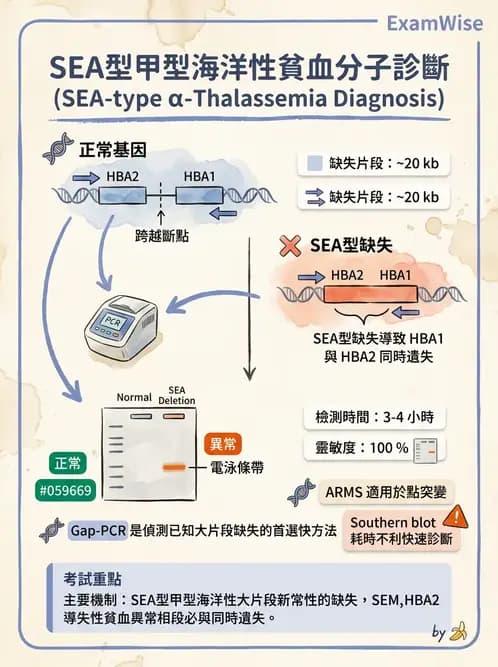 醫檢師 - 遺傳疾病基因檢測 - AI 圖文解析預覽