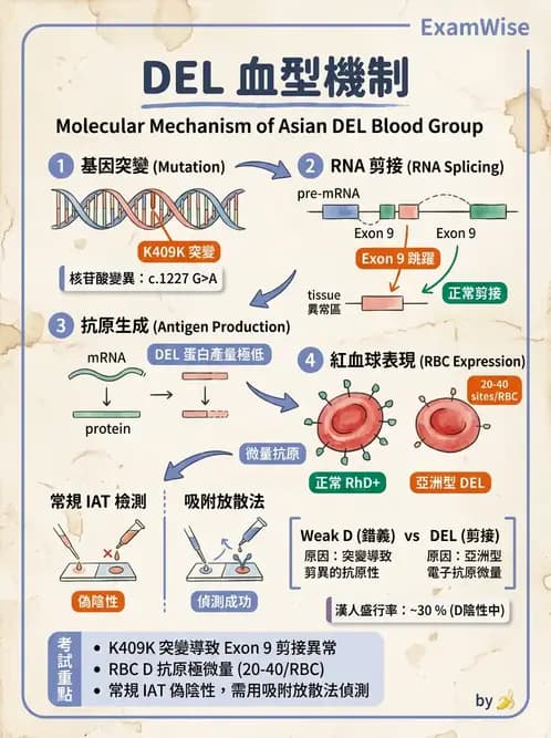醫檢師 - 遺傳疾病基因檢測 - AI 圖文解析預覽