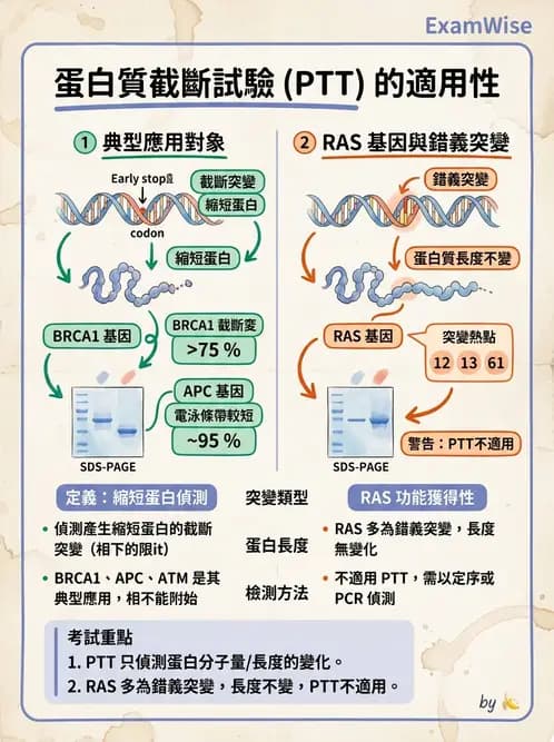 醫檢師 - 腫瘤疾病基因檢測 - AI 圖文解析預覽