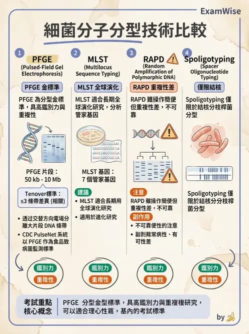 醫檢師 - 分子鑑定與應用技術 - AI 圖文解析預覽