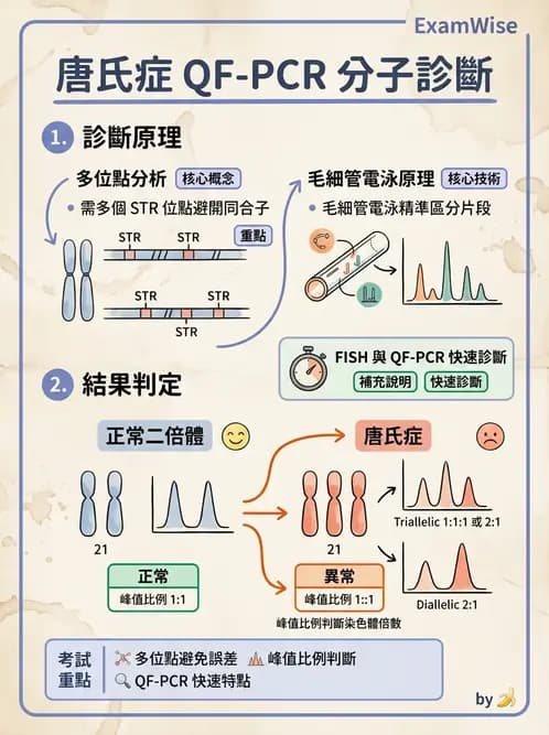 醫檢師 - 遺傳疾病基因檢測 - AI 圖文解析預覽
