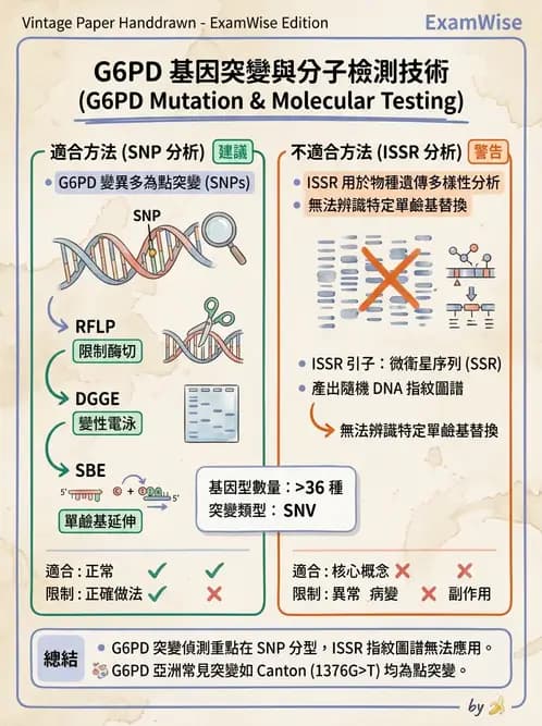 醫檢師 - 遺傳疾病基因檢測 - AI 圖文解析預覽