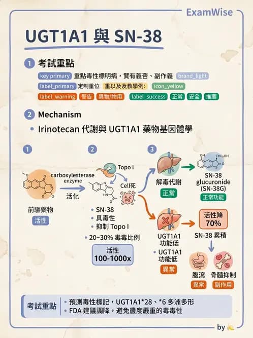 醫檢師 - 藥物相關基因檢測 - AI 圖文解析預覽