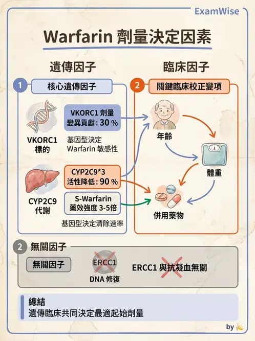 醫檢師 - 藥物相關基因檢測 - AI 圖文解析預覽