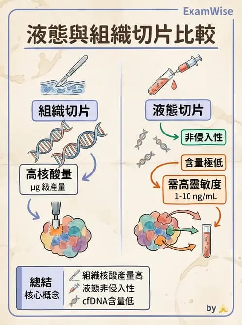 醫檢師 - 腫瘤疾病基因檢測 - AI 圖文解析預覽