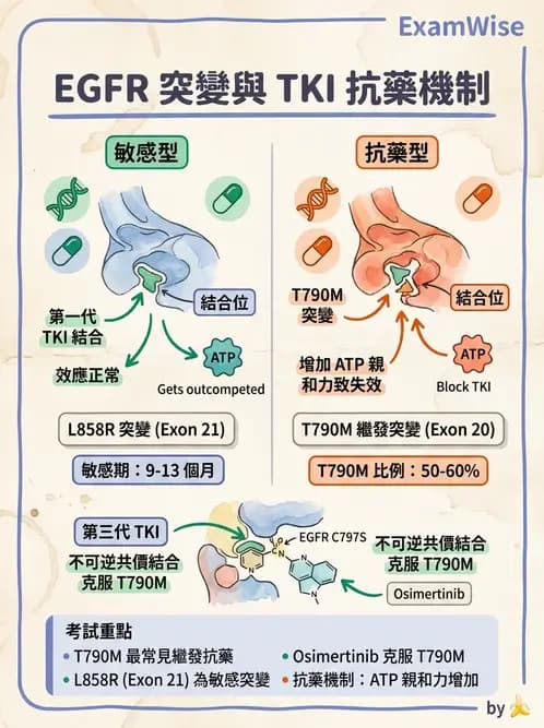 醫檢師 - 腫瘤疾病基因檢測 - AI 圖文解析預覽