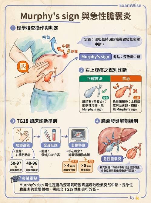 護理師 - 肝膽胰疾病 - AI 圖文解析預覽