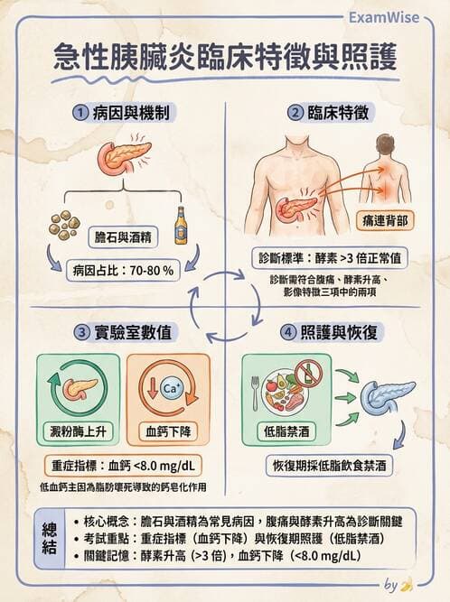 護理師 - 肝膽胰疾病 - AI 圖文解析預覽