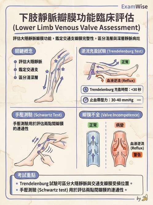 護理師 - 高血壓與周邊血管疾病 - AI 圖文解析預覽