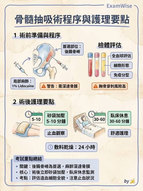 護理師 - 血液腫瘤疾病 - AI 圖文解析預覽