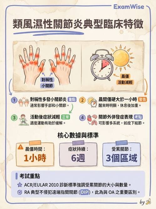 護理師 - 自體免疫疾病與過敏反應 - AI 圖文解析預覽