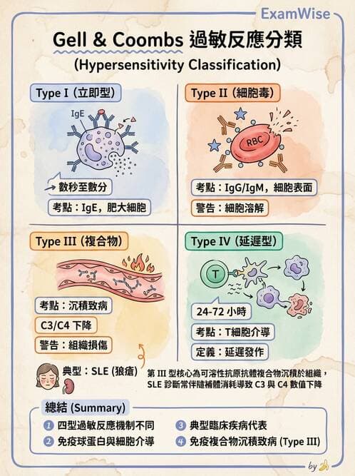護理師 - 自體免疫疾病與過敏反應 - AI 圖文解析預覽
