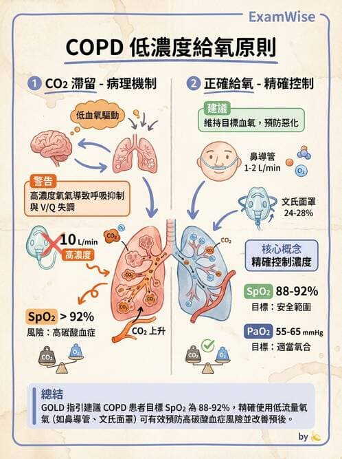 護理師 - COPD與氣喘 - AI 圖文解析預覽