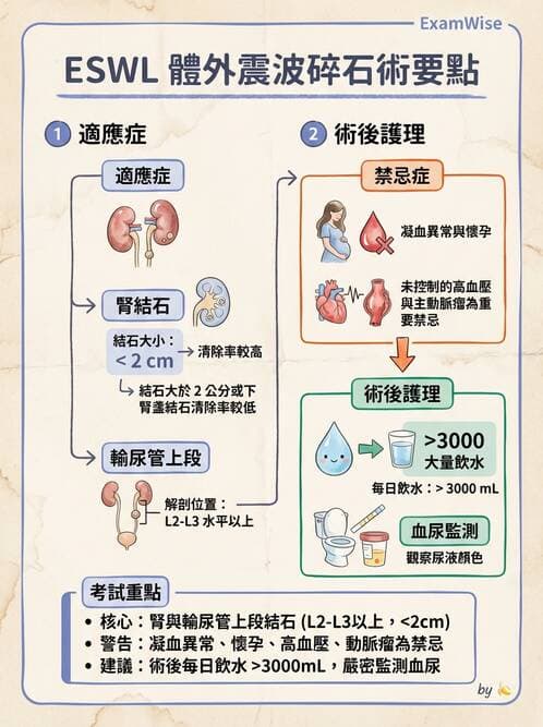 護理師 - 泌尿道疾病與排尿障礙 - AI 圖文解析預覽