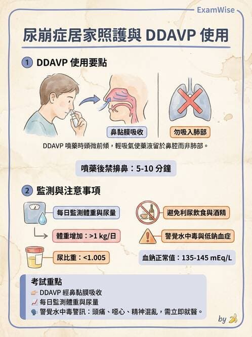 護理師 - 腎上腺與腦下垂體疾病 - AI 圖文解析預覽