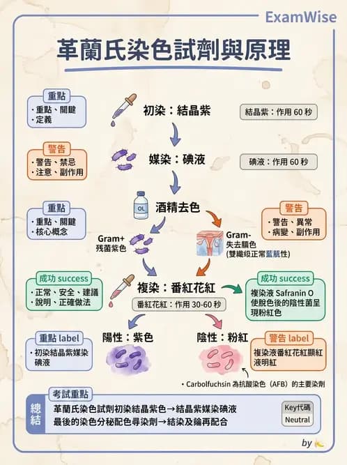 醫檢師 - 檢驗基礎技術 - AI 圖文解析預覽