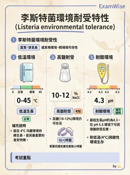 醫檢師 - 鏈球菌與其他革蘭氏陽性桿菌 - AI 圖文解析預覽