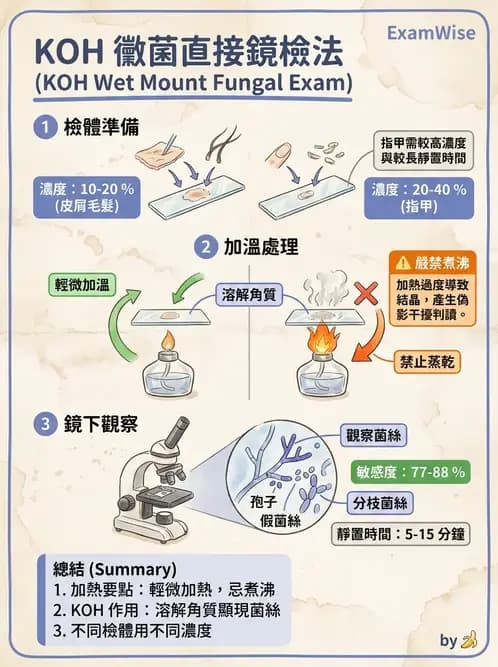 醫檢師 - 真菌診斷與治療 - AI 圖文解析預覽