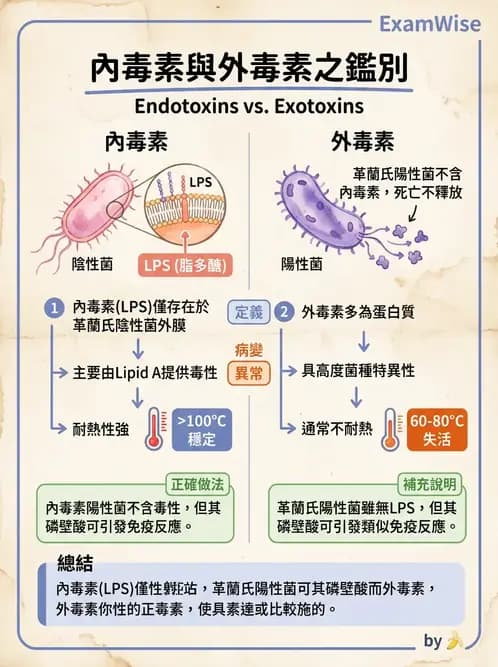 醫檢師 - 實驗室安全與微生物特性 - AI 圖文解析預覽