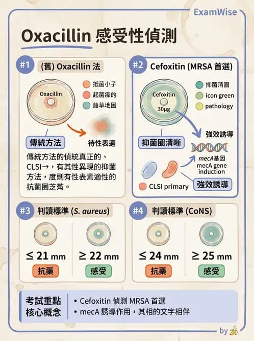 醫檢師 - 藥敏試驗方法 - AI 圖文解析預覽