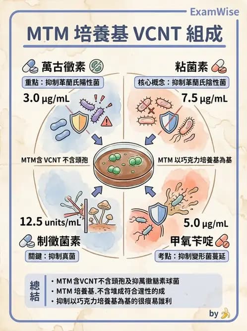 醫檢師 - 奈瑟菌與挑剔性革蘭氏陰性菌 - AI 圖文解析預覽