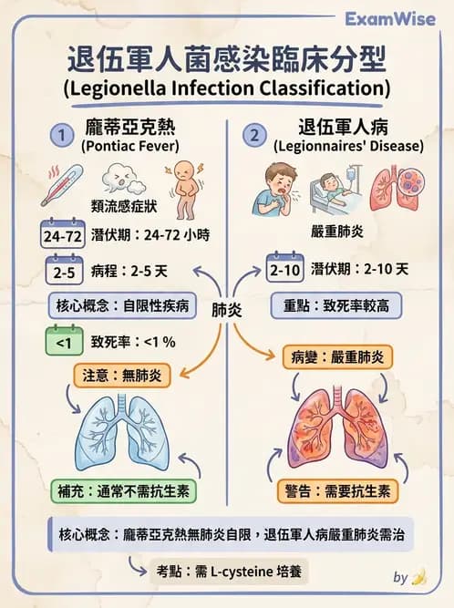 醫檢師 - 奈瑟菌與挑剔性革蘭氏陰性菌 - AI 圖文解析預覽