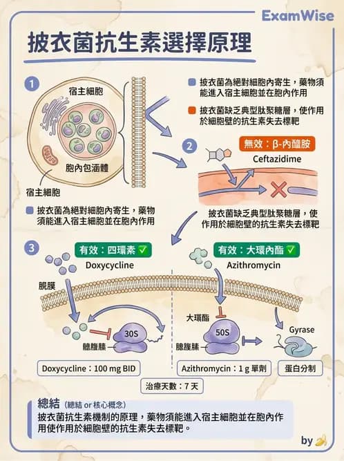 醫檢師 - 特殊病原體 - AI 圖文解析預覽