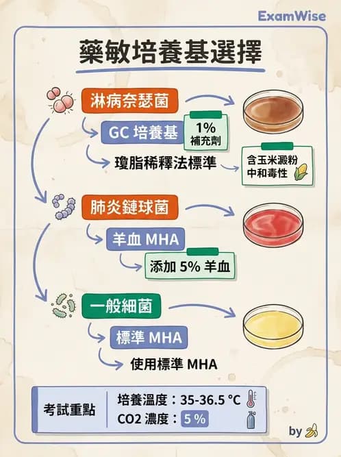 醫檢師 - 藥敏試驗方法 - AI 圖文解析預覽