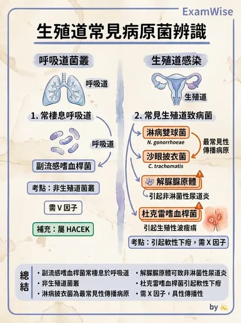 醫檢師 - 感染症與院內感染 - AI 圖文解析預覽