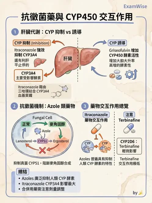 醫檢師 - 真菌診斷與治療 - AI 圖文解析預覽