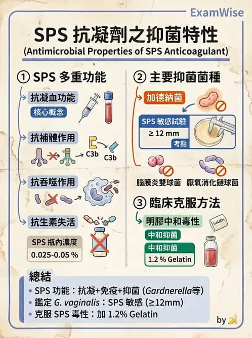 醫檢師 - 檢驗基礎技術 - AI 圖文解析預覽