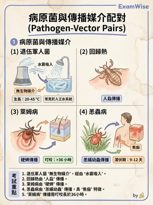 醫檢師 - 特殊病原體 - AI 圖文解析預覽