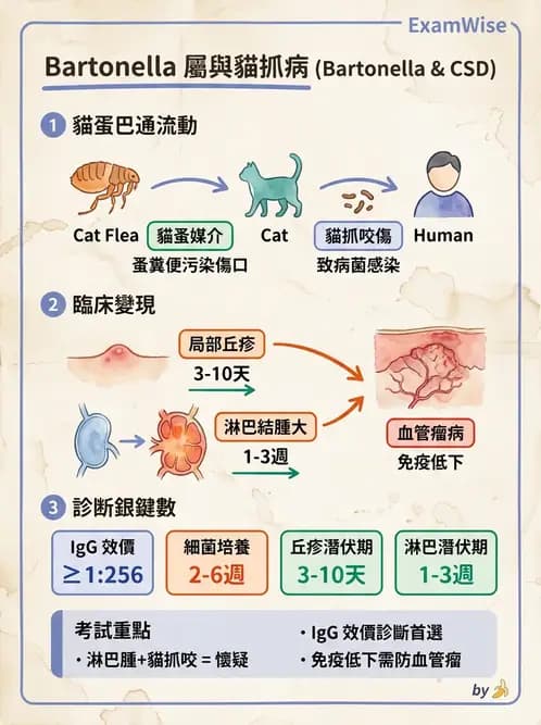 醫檢師 - 特殊病原體 - AI 圖文解析預覽