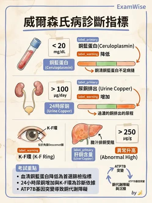 醫檢師 - 電解質與微量元素 - AI 圖文解析預覽