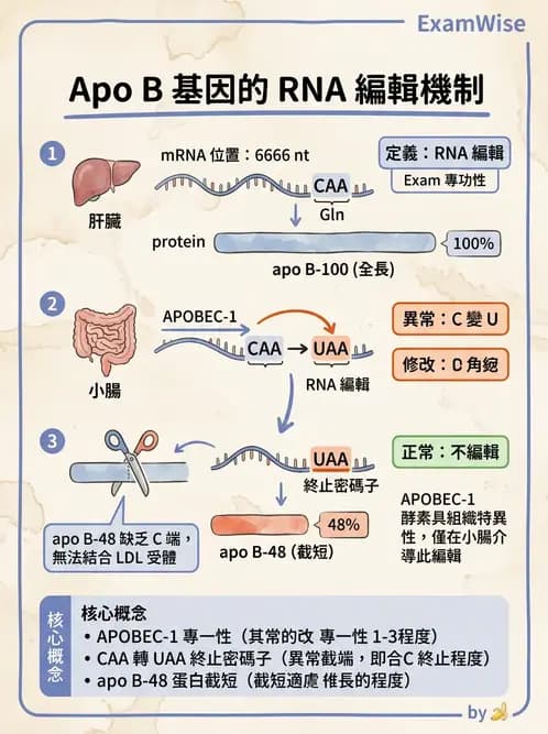 醫檢師 - 脂蛋白分類與臨床應用 - AI 圖文解析預覽