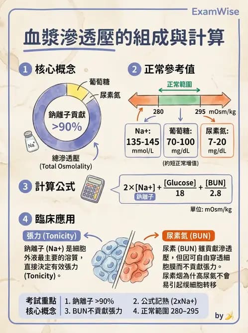 醫檢師 - 電解質與微量元素 - AI 圖文解析預覽