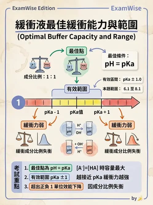 醫檢師 - 血液氣體分析及酸鹼平衡 - AI 圖文解析預覽