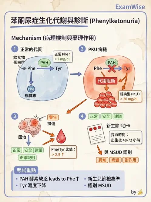 醫檢師 - 胺基酸代謝與先天性疾病 - AI 圖文解析預覽